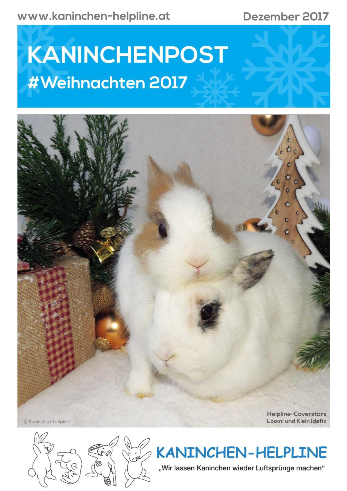 Cover Weihnachtspost 2017