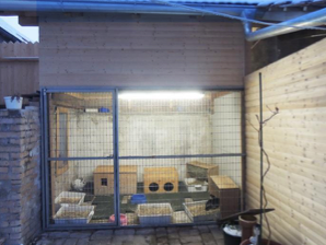 Kaninchen Helpline Umbau2