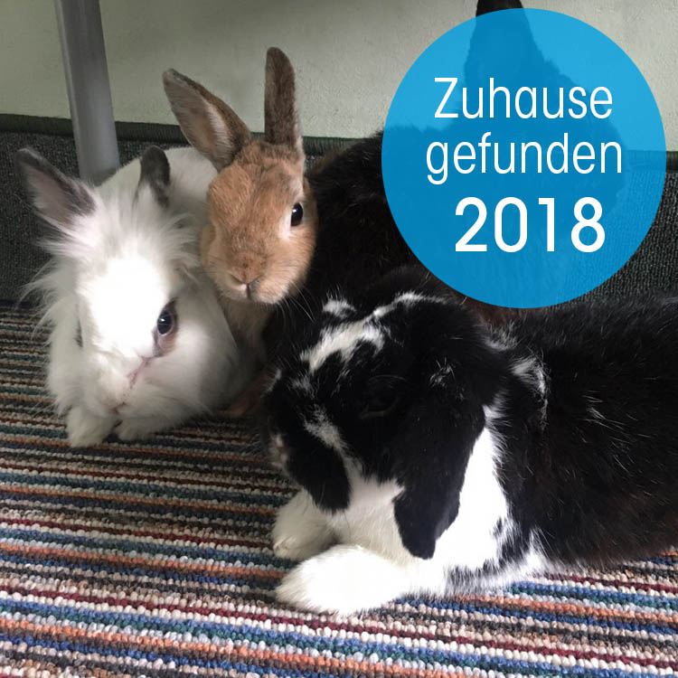 Zuhause gefunden 2018