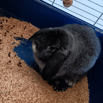Neues Projekt33