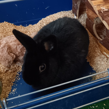 Neues Projekt34
