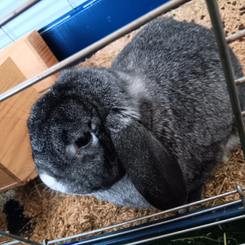 Neues Projekt36