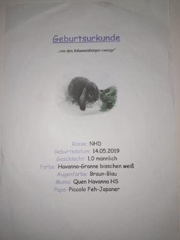 2024 07 Nuffel PV 5