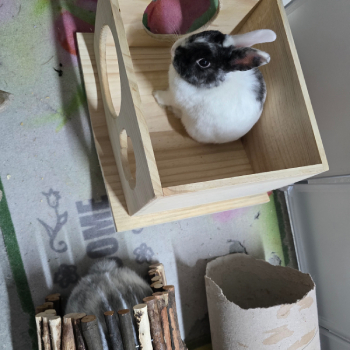 2026 04 Elias Lina PV 2