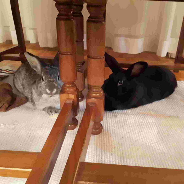 müsli zuhaue gefunden 3