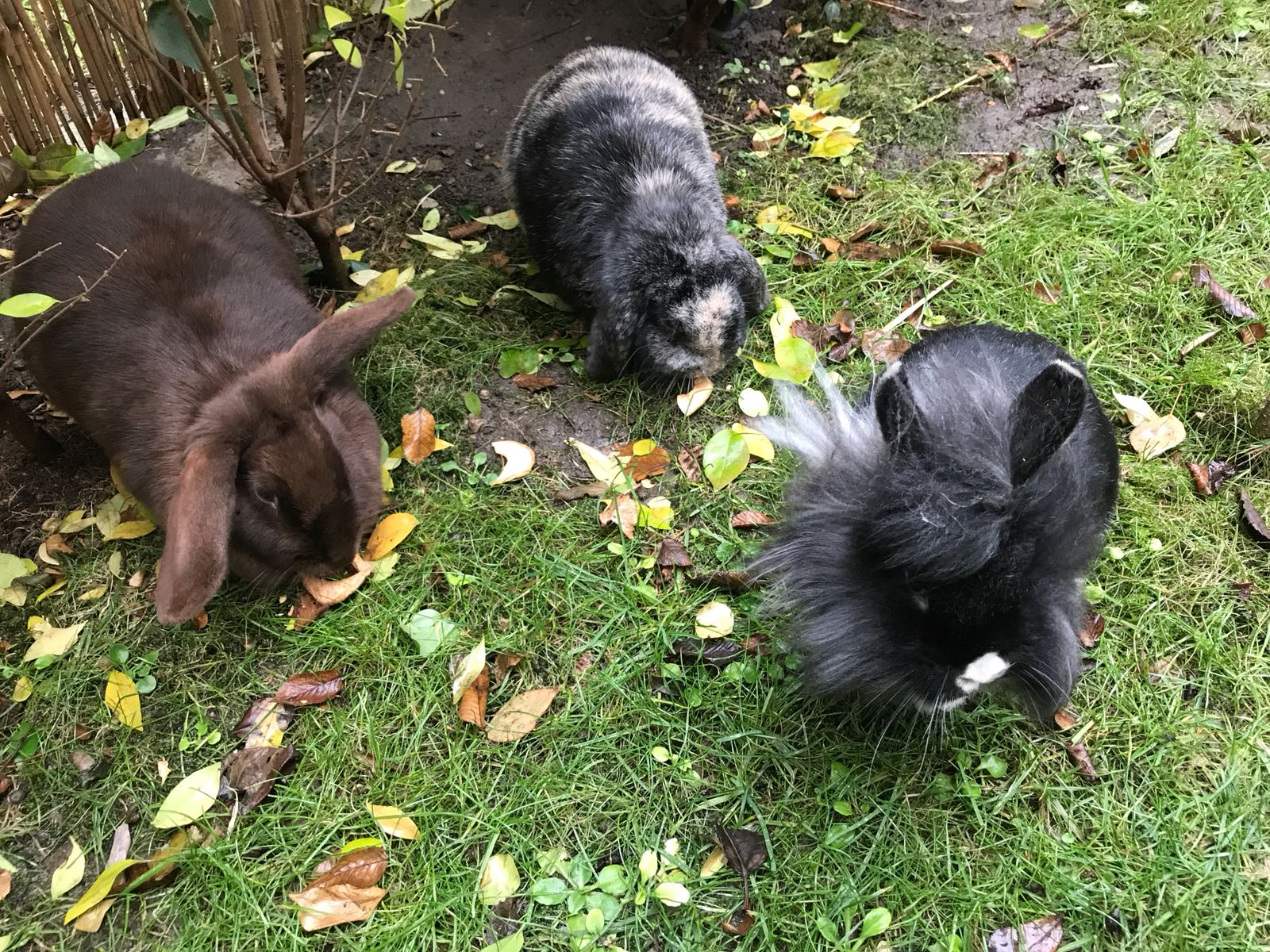 Ray Ban zuhause gefunden 1