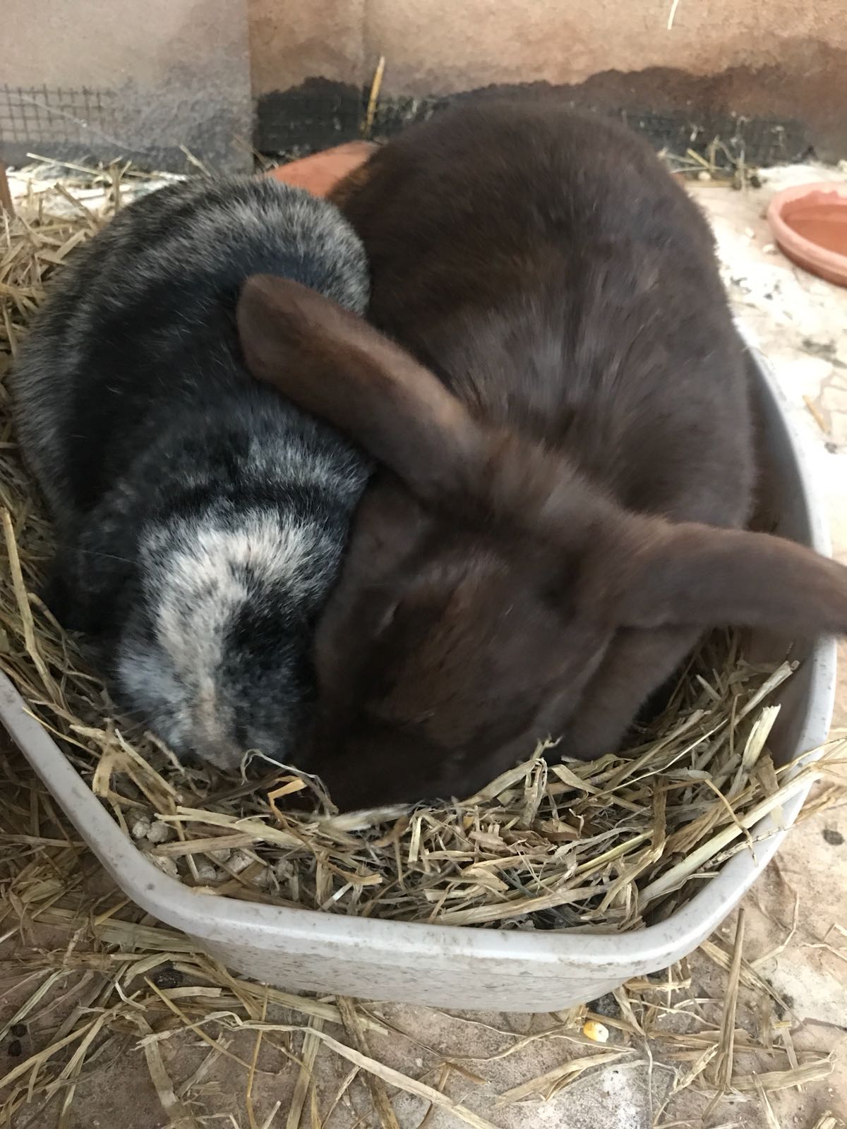 Ray Ban zuhause gefunden 5