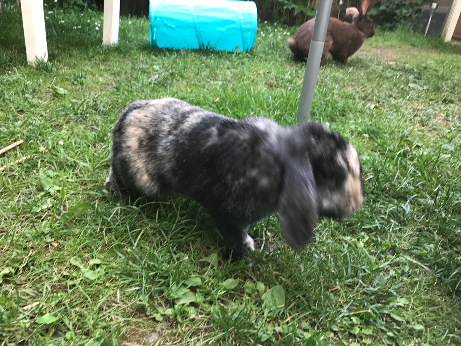 Ray Ban zuhause gefunden 6