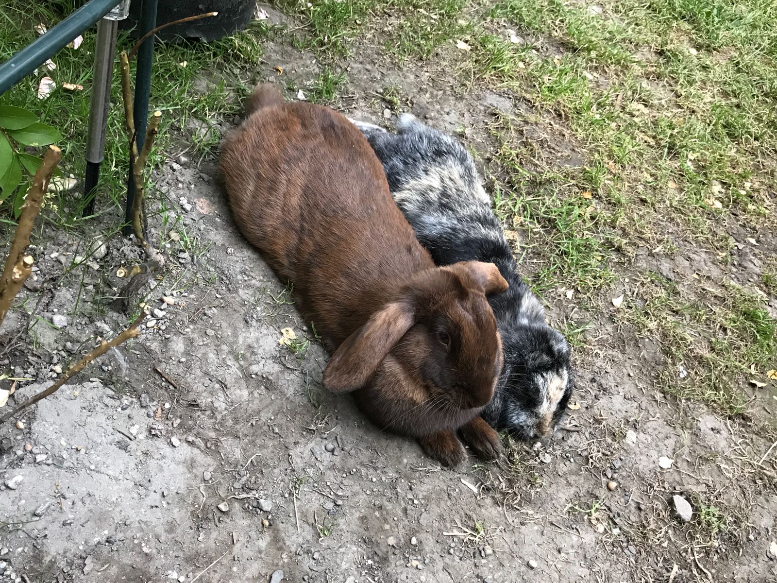 Ray Ban zuhause gefunden 7