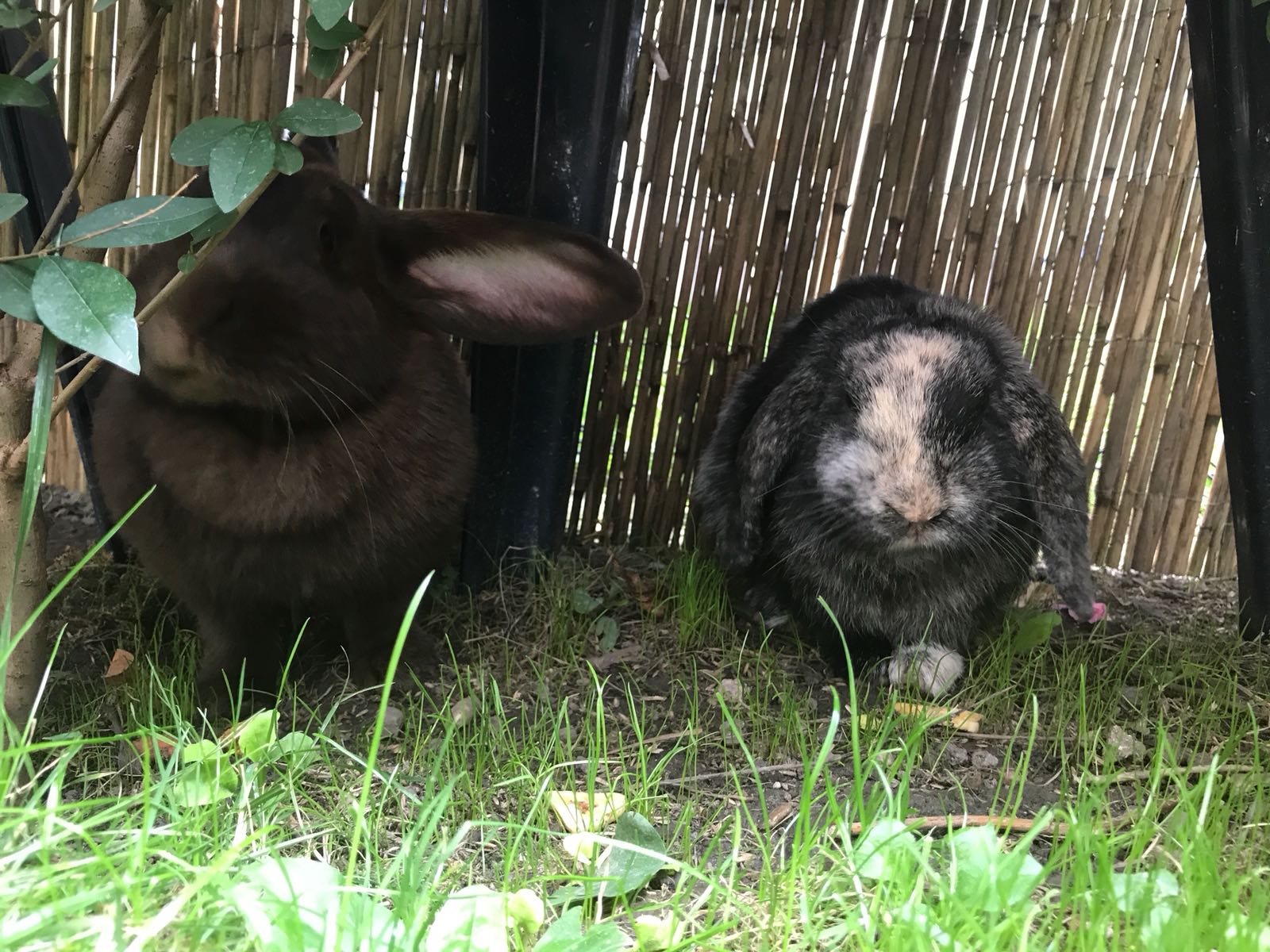 Ray Ban zuhause gefunden 8