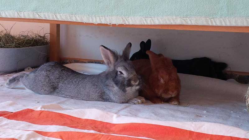 Rufus Rionna und Niklas z1