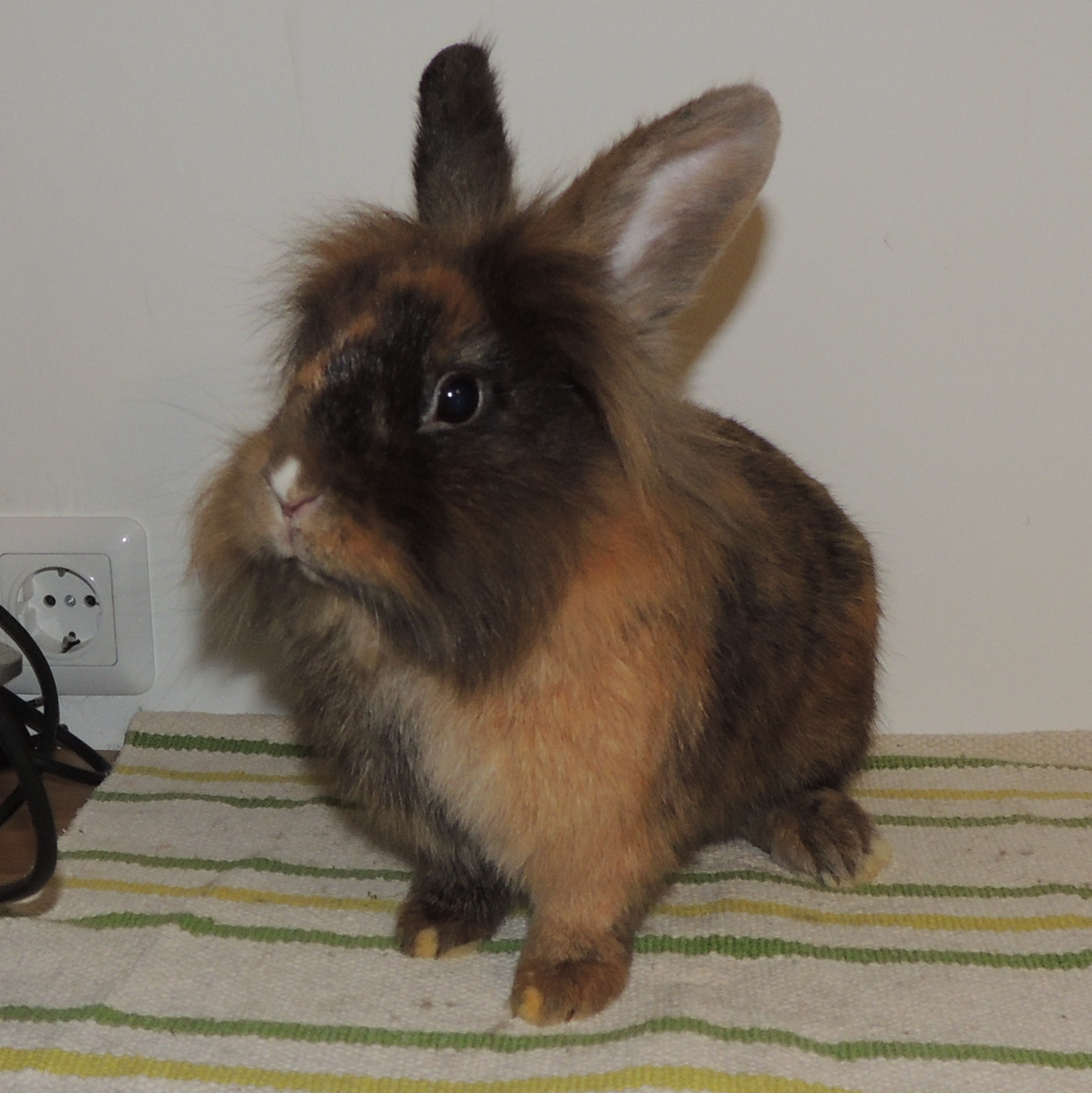 2017 12 Big Trouble 2