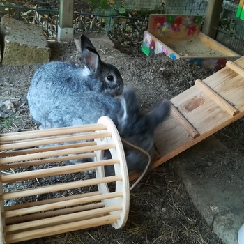 2018 10 Alexius zuhause gefunden 3