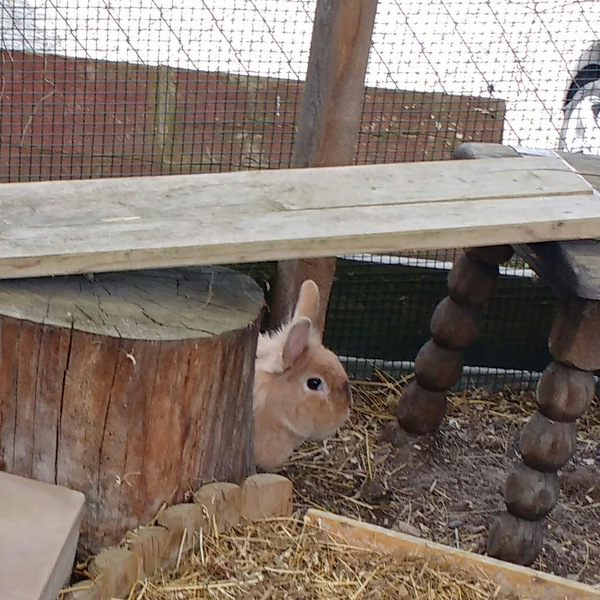 2018 06 Ernesto zuhause gefunden