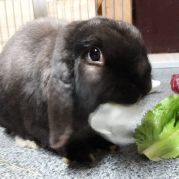 2019 02 Matteo neu1 2