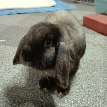 2019 02 Matteo neu 1