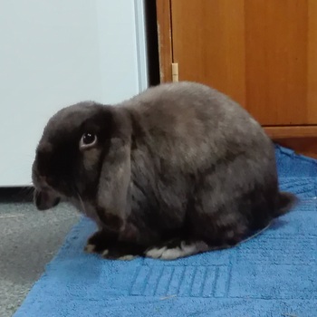 2019 02 Matteo neu 2