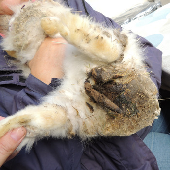 2018 09 Nacho Ankunft 2