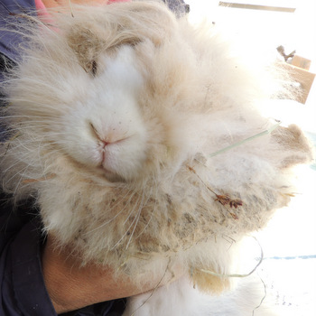 2018 09 Nacho Ankunft 3