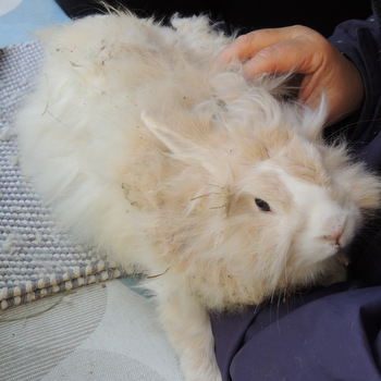 2018 09 Nacho Ankunft 6