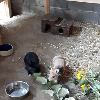 Richie und Kendra zuhause gefunden 1