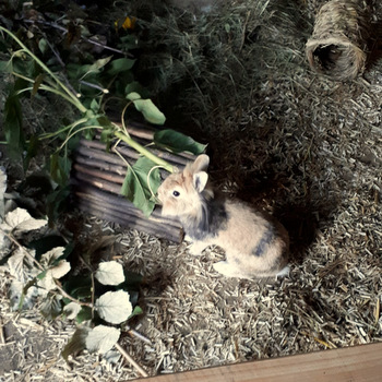 Richie und Kendra zuhause gefunden 3