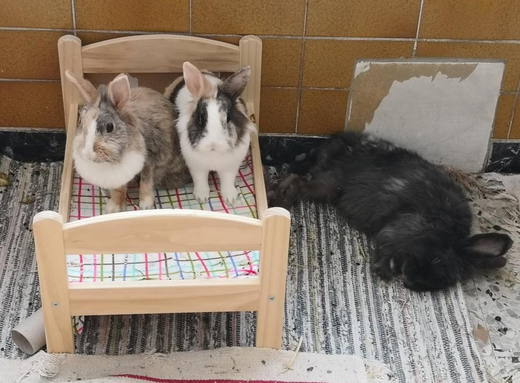 2018 05 Simeon zuhause gefunden