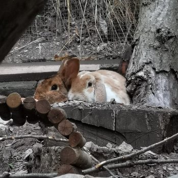 Gino zuhause gefunden 1