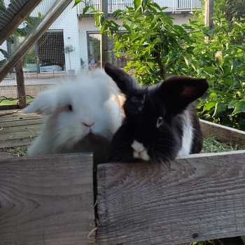 IMG 20220624 191407 001