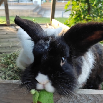 IMG 20220624 191532 001