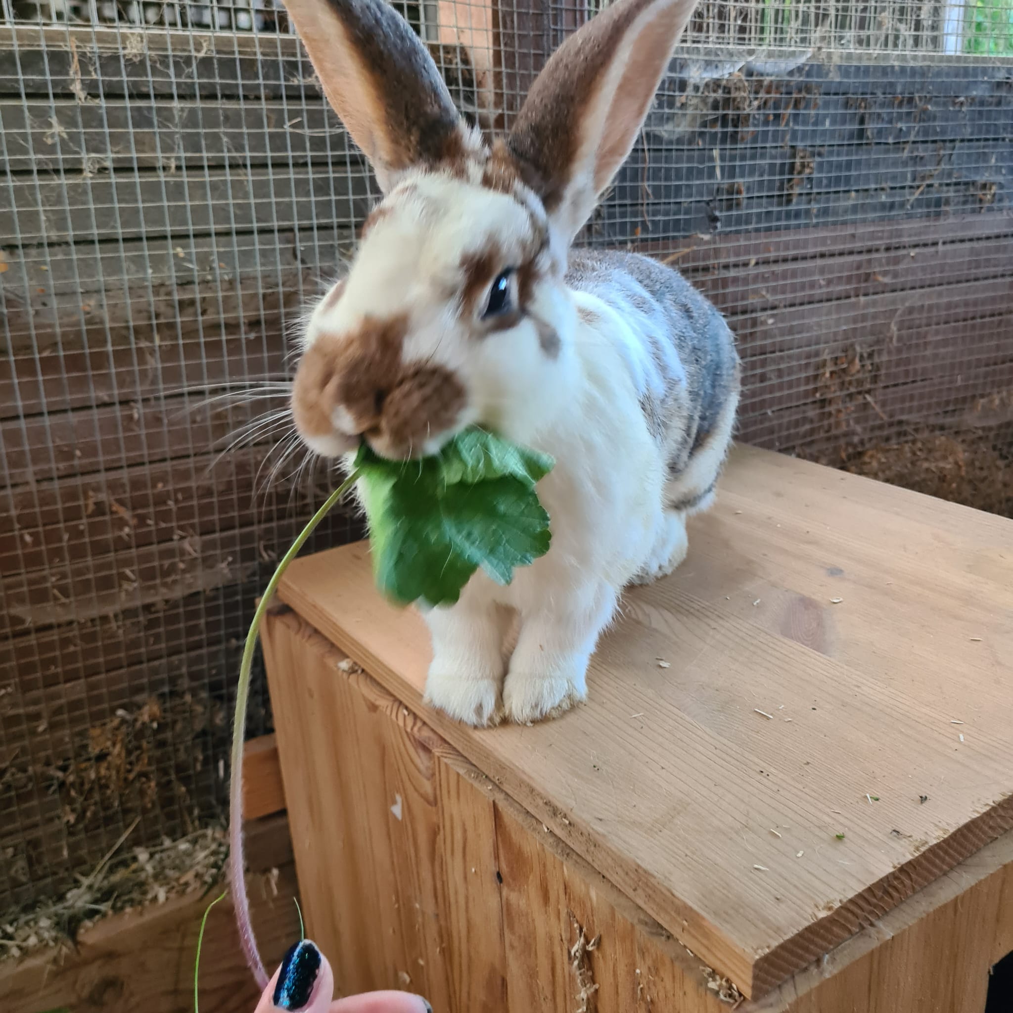 2022 10 Felix im neuen Zuhause 10