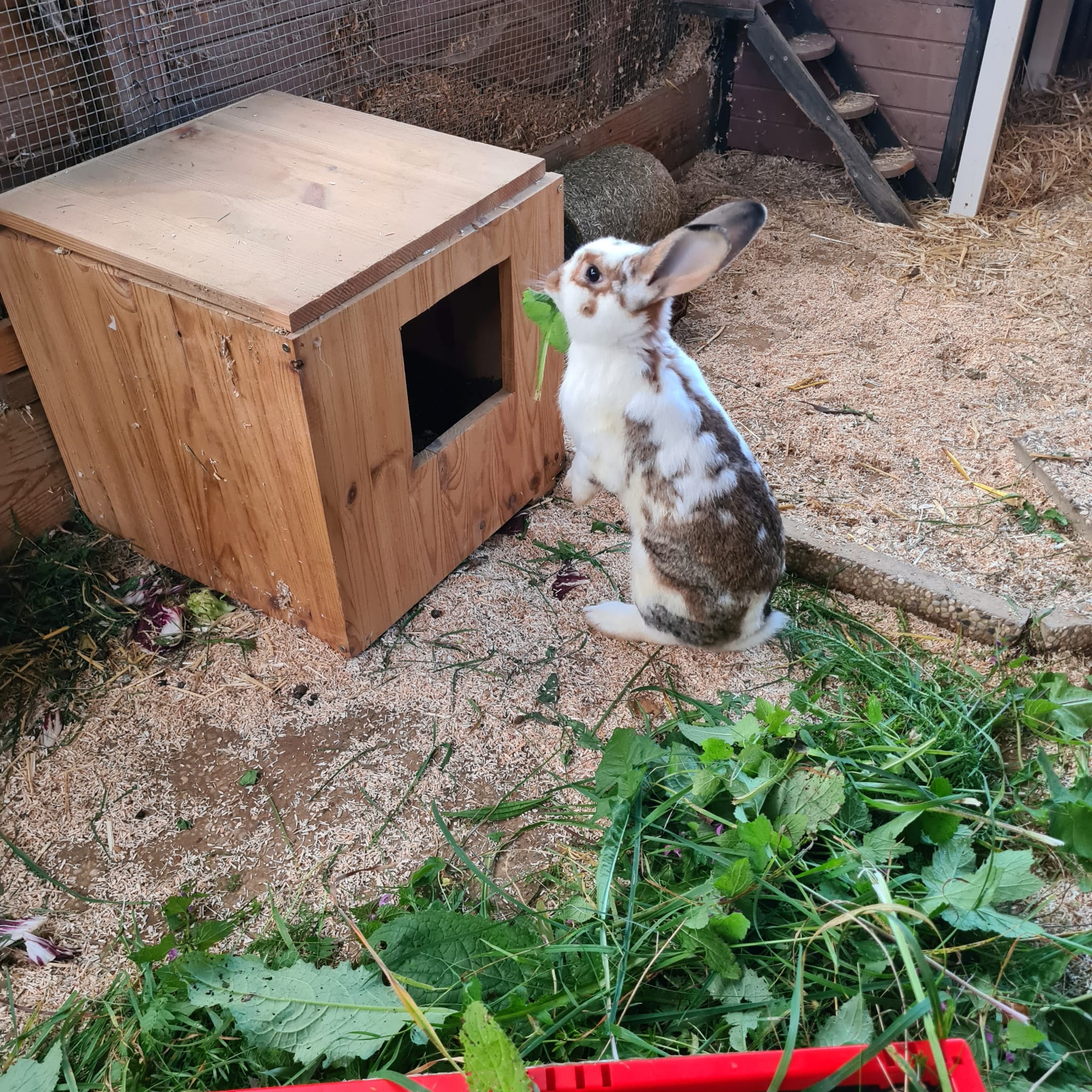 2022 10 Felix im neuen Zuhause 15