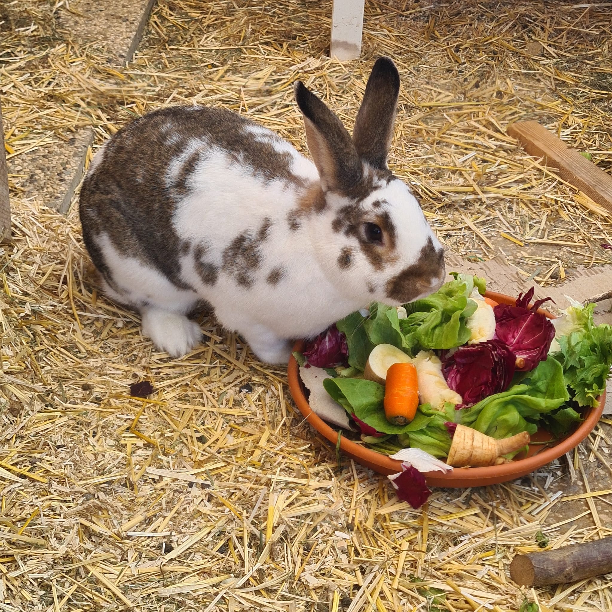 2022 10 Felix im neuen Zuhause 3