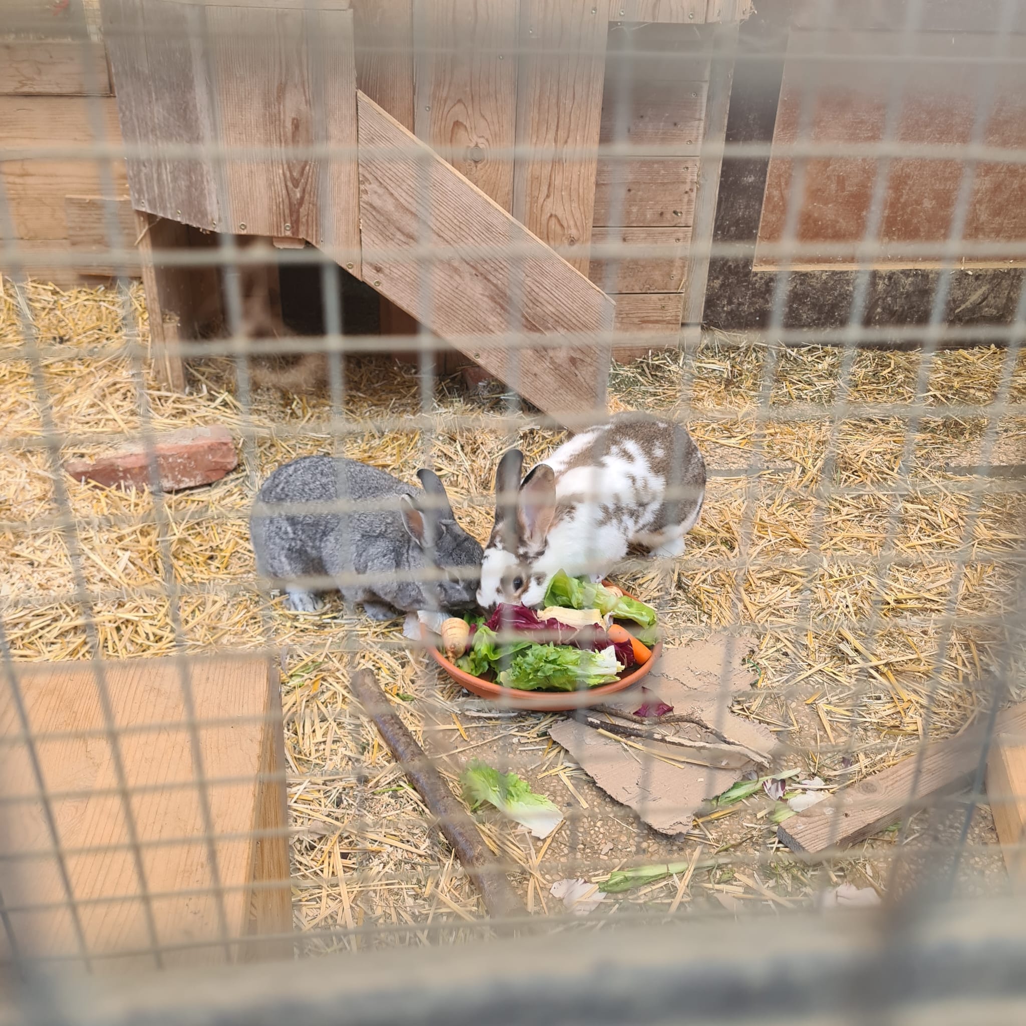 2022 10 Felix im neuen Zuhause 4