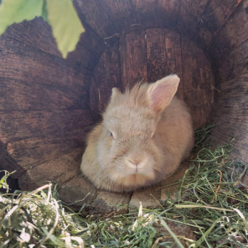 2022 10 Keks Zuhause gefunden 1