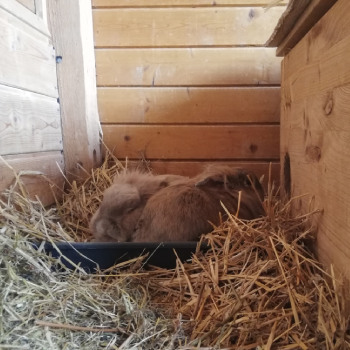 2022 10 Keks Zuhause gefunden 2