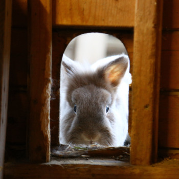 2022 10 Keks Zuhause gefunden 3