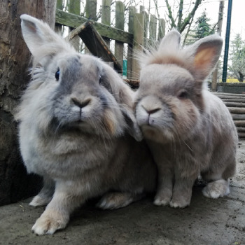 2022 10 Keks Zuhause gefunden 4