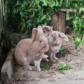 2022 10 Keks Zuhause gefunden 5