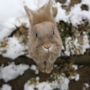 2022 10 Keks Zuhause gefunden 6