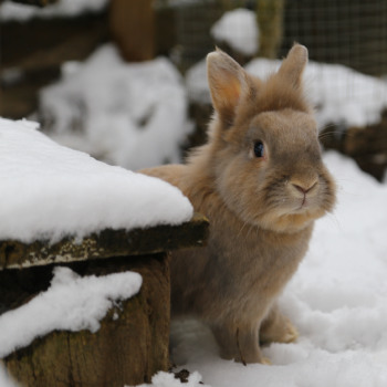 2022 10 Keks Zuhause gefunden 7