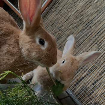 Marbo Dora neues Zuhause 4