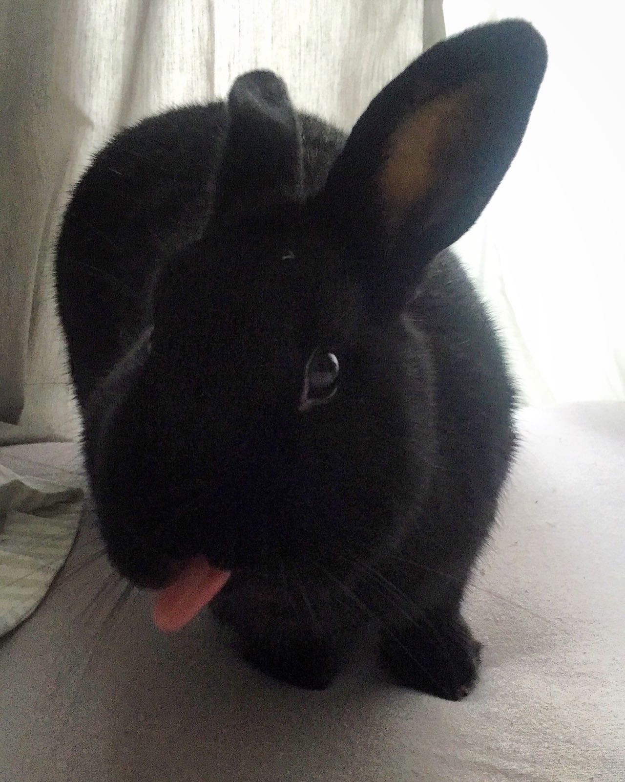 Marcella zuhause gefunden 4