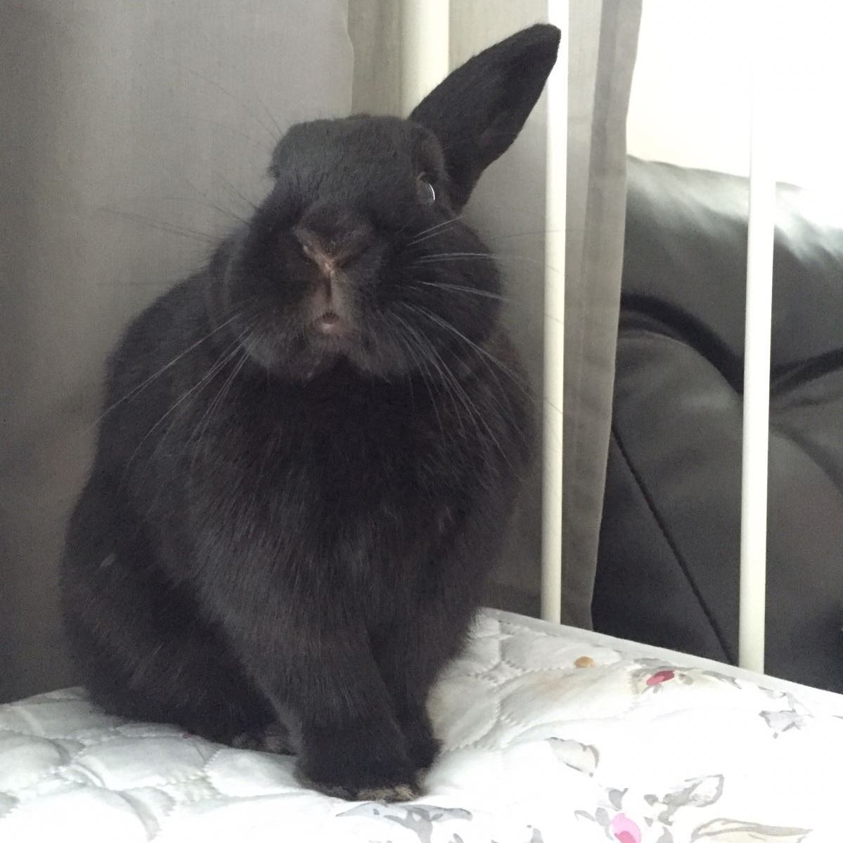 Marcella zuhause gefunden 5