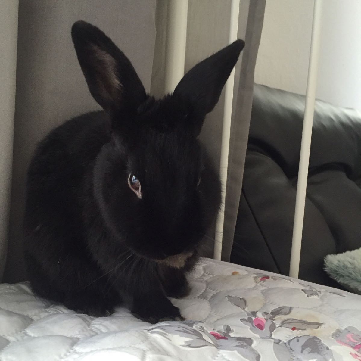 Marcella zuhause gefunden 6