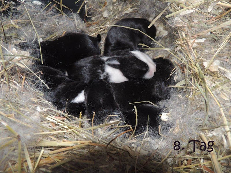 Shania Babys Tag 8 2