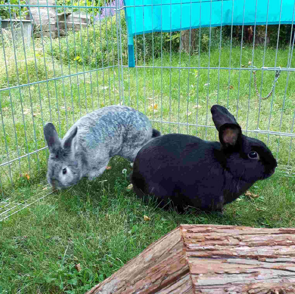 may zuhause gefunden 2