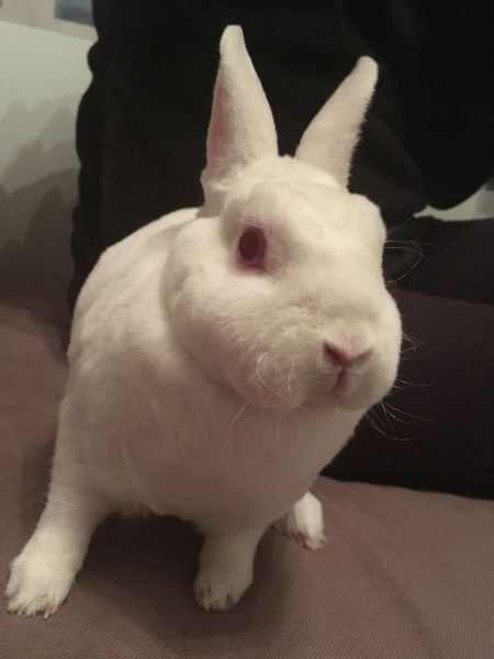 2018 02 Bibi 2