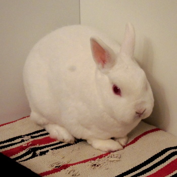 DSCN2679