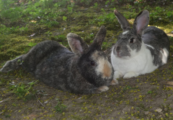 Helene zuhause gefunden